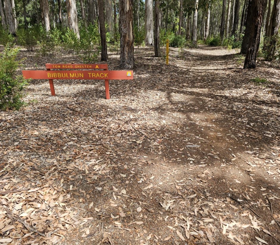 Bibbulmun Track Water Leak Detection